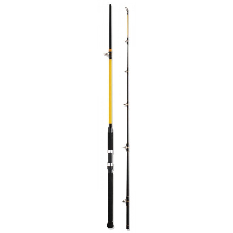 Caña WFT Never Crack Big Fish 2,70m 150-700gr