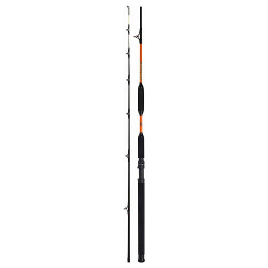 Caña WFT Bank Cat II Never Crack 3,15m 200-1000gr