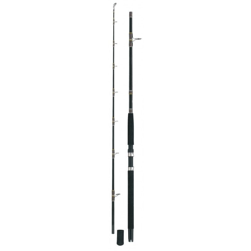 Caña WFT Ocean Pro 2,10m 200-700gr