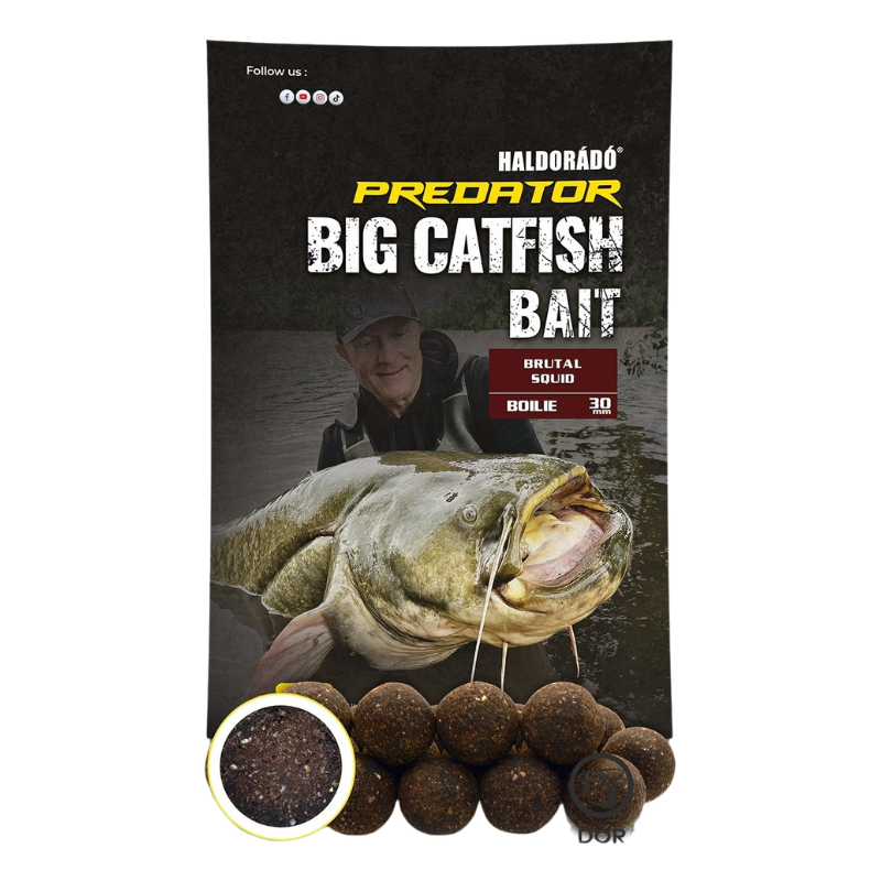 Haldorado Catfish Bait Boilies Brutal Squid 30mm 1kg