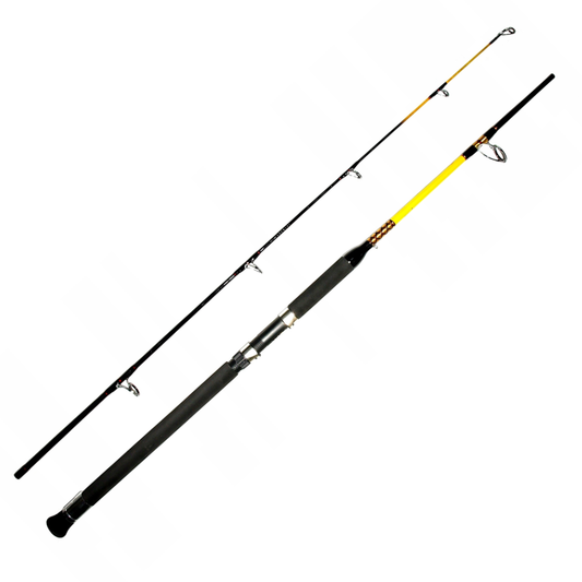 Caña WFT Never Crack Big Fish 2,40m 150-700gr