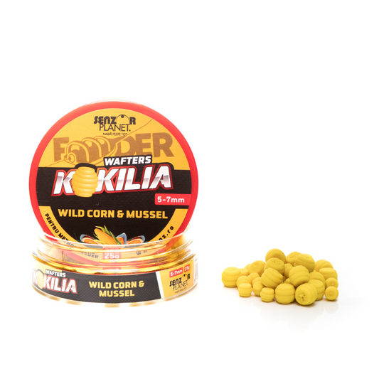 Senzor Planet Wafters Kokilia Wild Corn Mussel 5-7mm